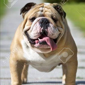 Meet your Posher, Jorge